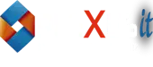 Plexus It Systems (India) Private Limited