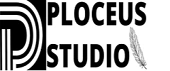Ploceus Studio Llp