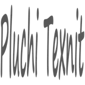 Pluchi Texnit Private Limited