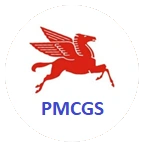 Pmcgs Private Limited