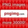 Png Technology Private Limited