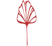 Poppys Ventures Private Limited
