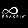 Prakria Marketing Services Private Limited