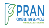 Pran Consulting Services Llp