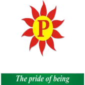 Prathista Industries Limited