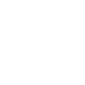 Previse It Private Limited