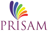 Prisam Infotech Private Limited