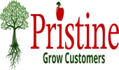 Pristine Retail Solutions Private Limited