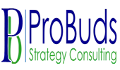Probuds Strategy Consulting Private Limited