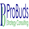 Probuds Strategy Consulting Private Limited