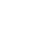 Procain Consulting & Services Private Limited