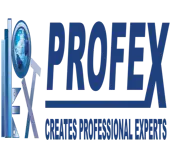 Profex Consultant & Developers Private Limited