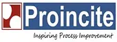 Proincite It Process Consulting Private Limited