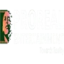 Proreal Entertainment Private Limited