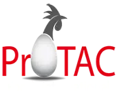 Protac Foods International Private Limited