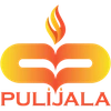 Pulijala Business Consulting Private Limited