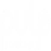Pulp Strategy Technologies Private Limited