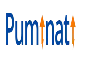 Puminati Digital Private Limited