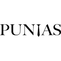 Punia Innovative Solutions Private Limited