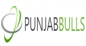 Punjabbulls Technology Private Limited