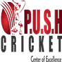 Push Sports Arenas Private Limited