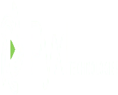 Pyxl Technologies Llp