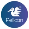 Pelican Telecom Private Limited