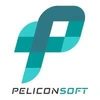 Pelicon Software Solutions Private Limited