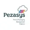 Pezasys Private Limited