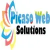 Picaso Web Solutions Private Limited