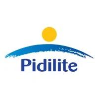 Tenax Pidilite India Private Limited