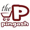 Pingash It Solutions Private Limited