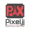 Pixelji Empires Private Limited