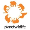 Planetwildlife.Com (India) Private Limited