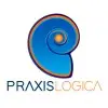 Praxislogica It Solutions Private Limited