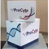 Procyto Labs Private Limited
