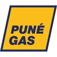 Pune Gas Systems Private Limited