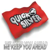 Quick Silver Freight Systems Private Limited