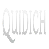 Quidich Innovation Labs Private Limited