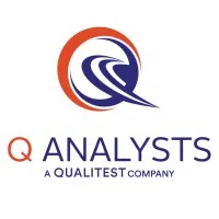 Qanalysts Services India Private Limited