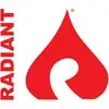 Radiant Systems (India) Private Limited
