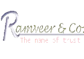 Ramveer Softech Private Limited