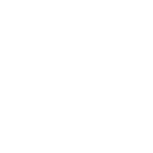 Raspl Industries Private Limited