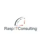 Rasp It Consulting Services Private Limited