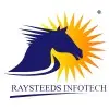 Raysteeds Infotech Private Limited