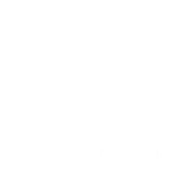 Renew Ecosys Private Limited