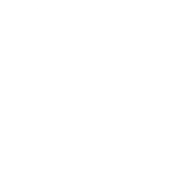 Report Ocean Private Limited