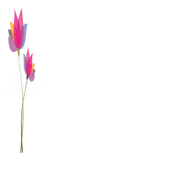 Responsible Films Foundation