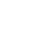 Revlogic Integrated Solutions Private Limited