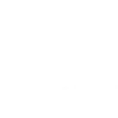 Revyrieglobal Tech Solutions Private Limited